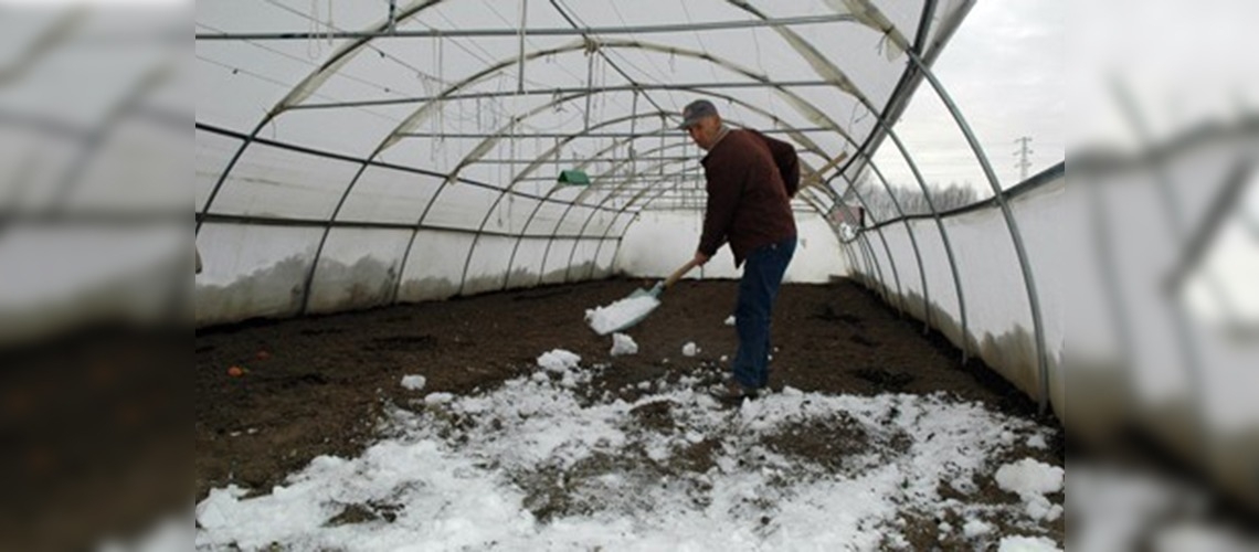 Erzurumlu çiftçiler seraları kar suyu ile suluyor 