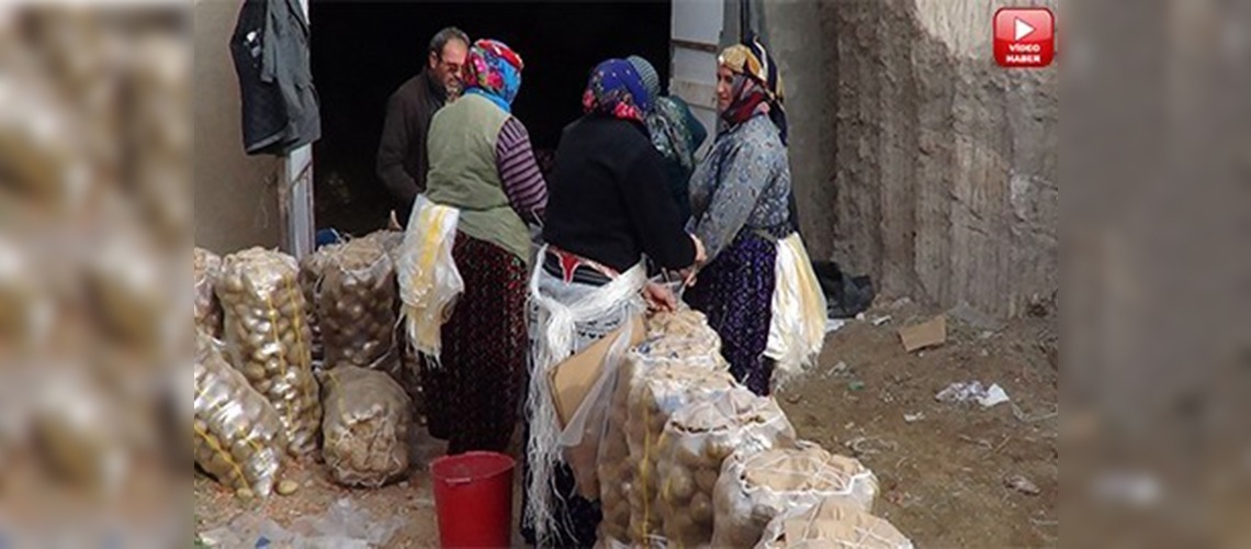 Sandıklıdan patates sevkiyatı tüm hızıyla sürüyor