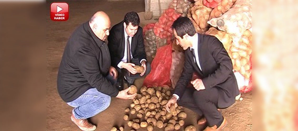 Ahlat'ta patates ihracatı 