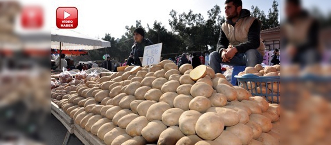 Patates depodan çıktı, fiyatı düştü