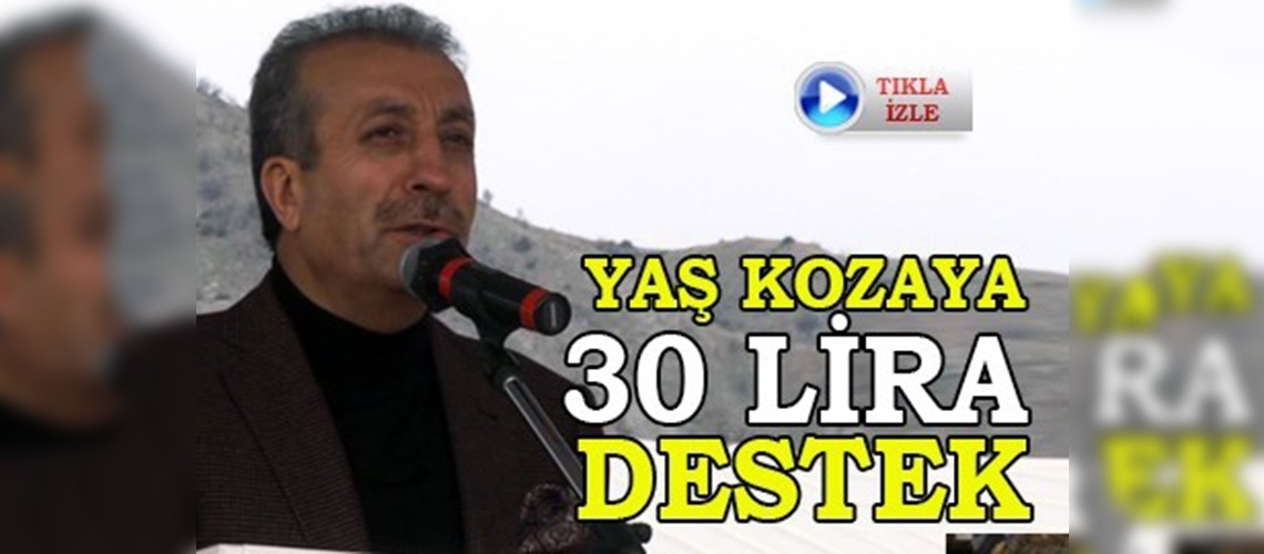 Yaş kozaya 30 lira destek verilecek 