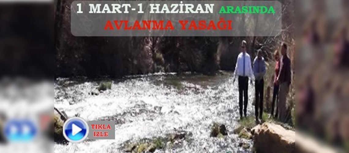 Manisada Gökkuşağı alabalığı korunuyor