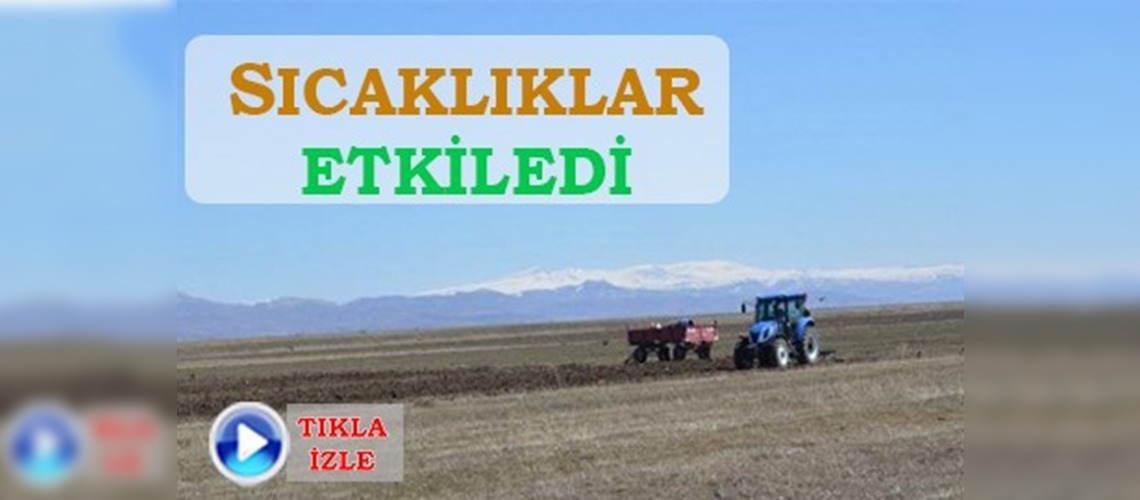 Ağrılı çiftçiler erken ekim yaptı