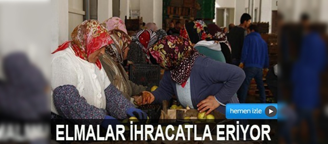 SOĞUK HAVA DEPOLARINDAKİ ELMALAR İHRACATLA ERİYOR