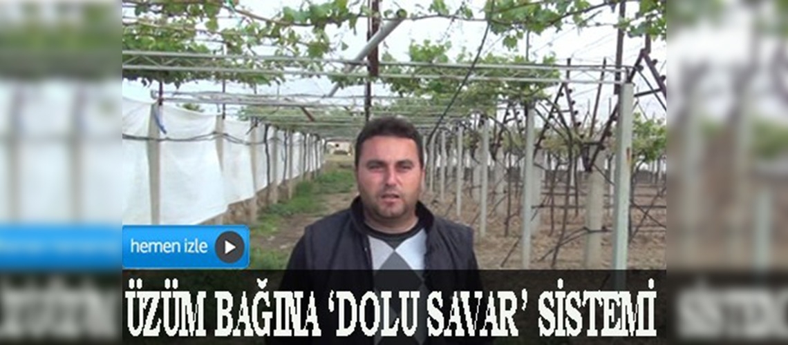 Üzüm bağına dolu savar sistemi yaptı