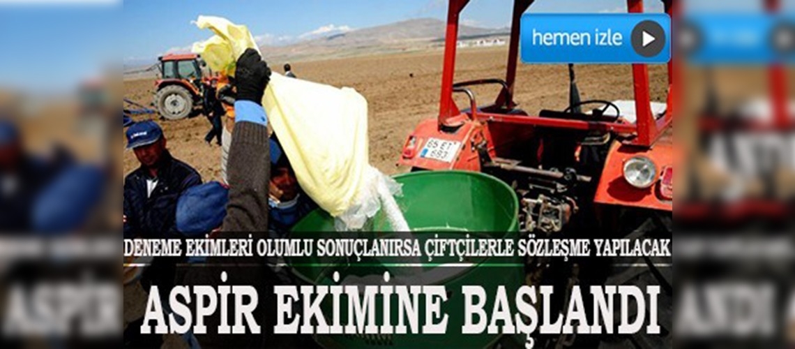 Van'da aspir ekimine başlandı