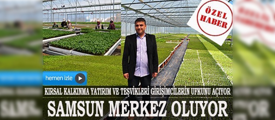 Samsun Karadenizin sebze fidesi merkezi oluyor