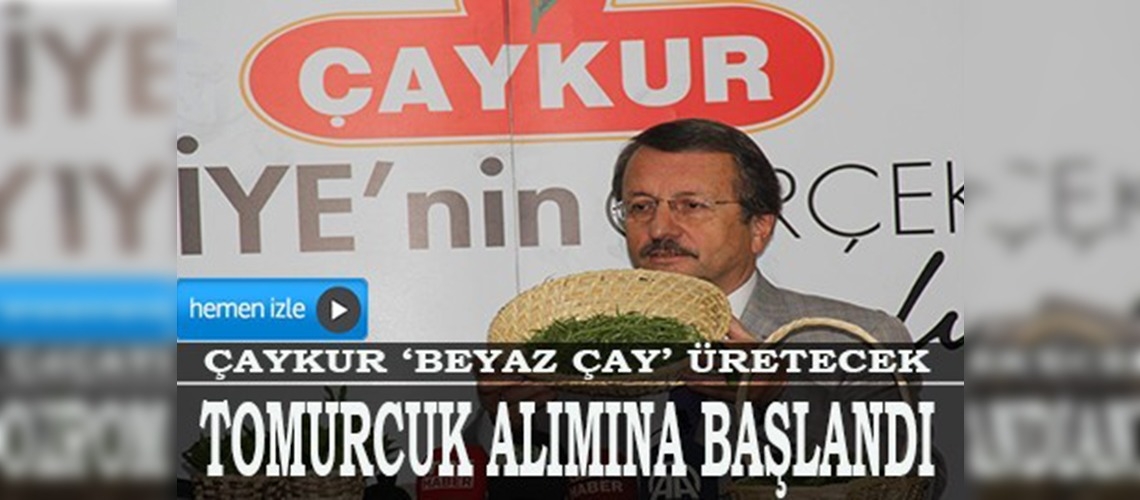 ÇAYKUR beyaz çay üretimine başlıyor