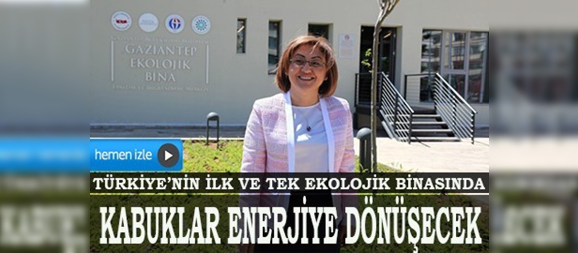 Antep fıstığı kabuğundan enerji üretilecek