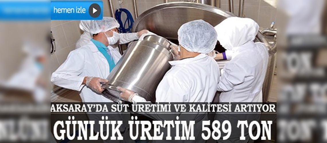 Aksarayda günlük süt üretimi 589 ton