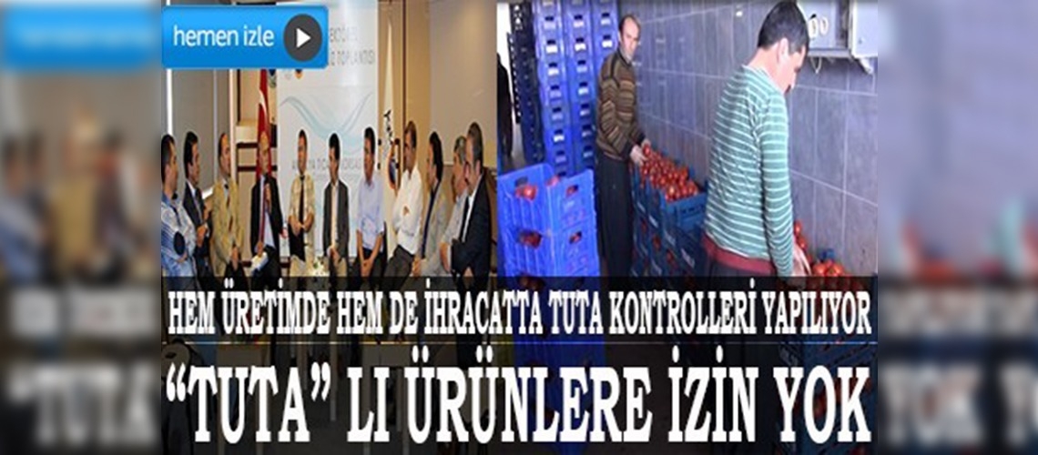 Domates ihracatında tutalı ürünlere izin verilmiyor