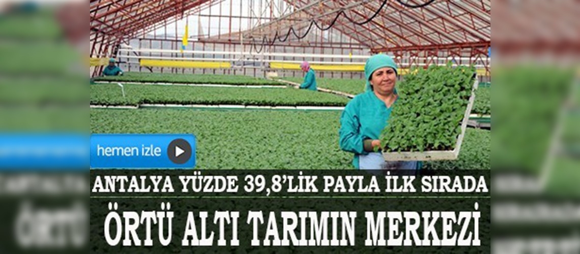 Örtü altı tarımın merkezi Antalya