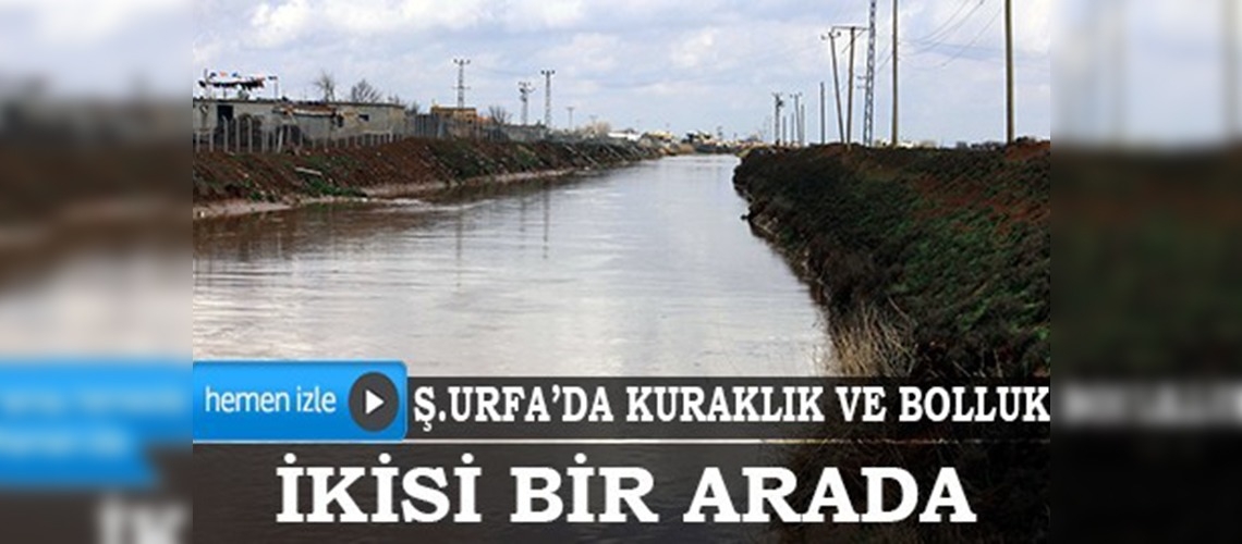 Şanlıurfada kuraklık ve bolluk bir arada