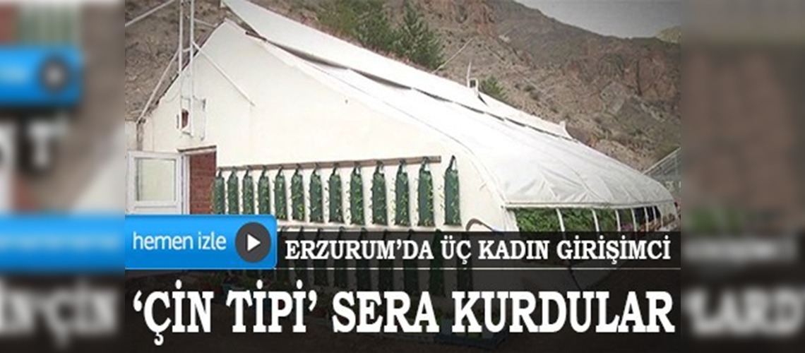 3 kadın girişimci Erzurum'da “Çin tipi” sera kurdu