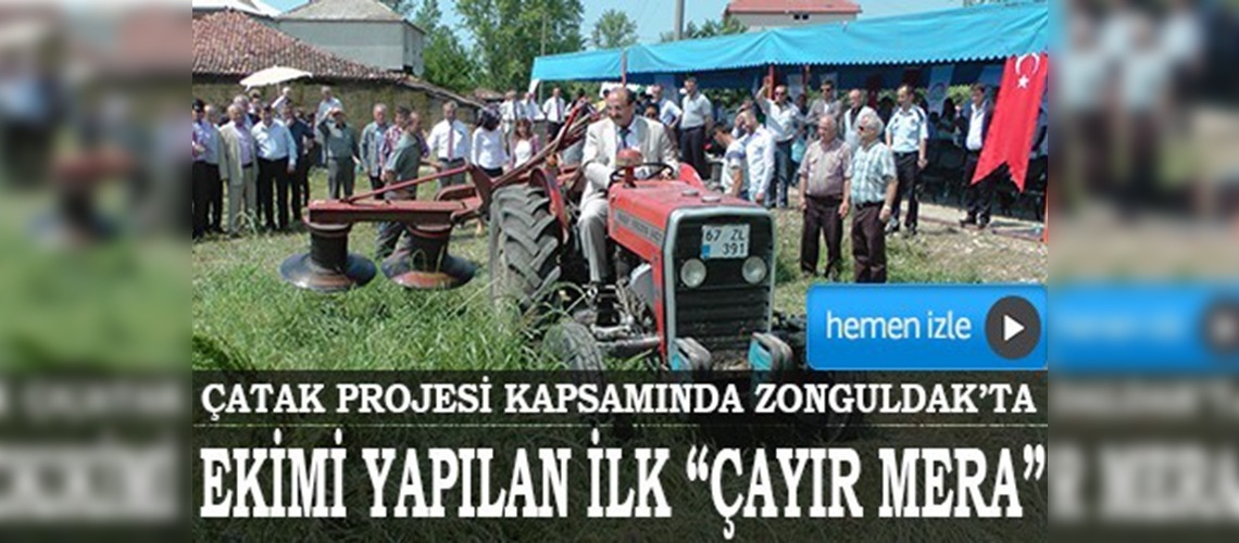 Zonguldakta yapay çayır mera açıldı