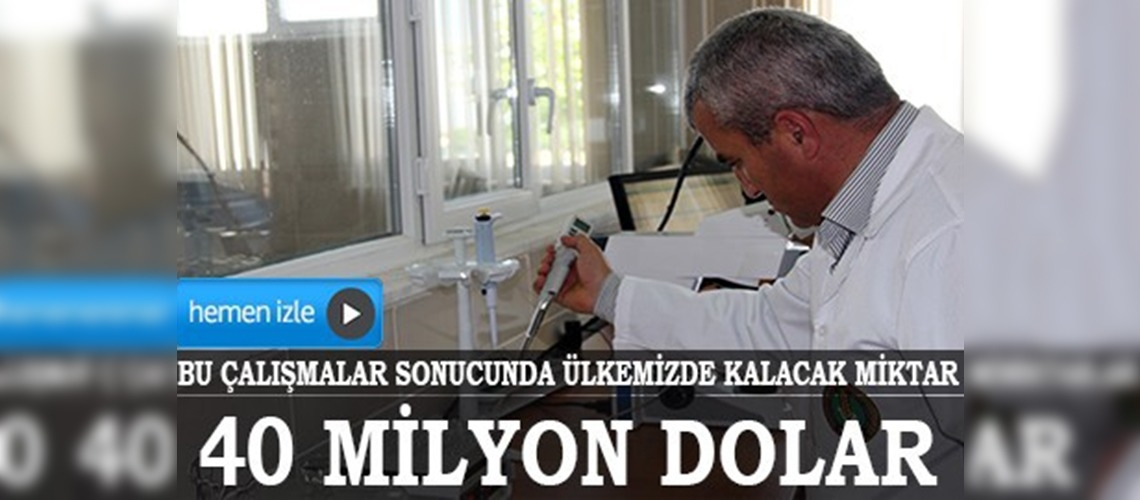 40 milyon dolarlık boğa sperması