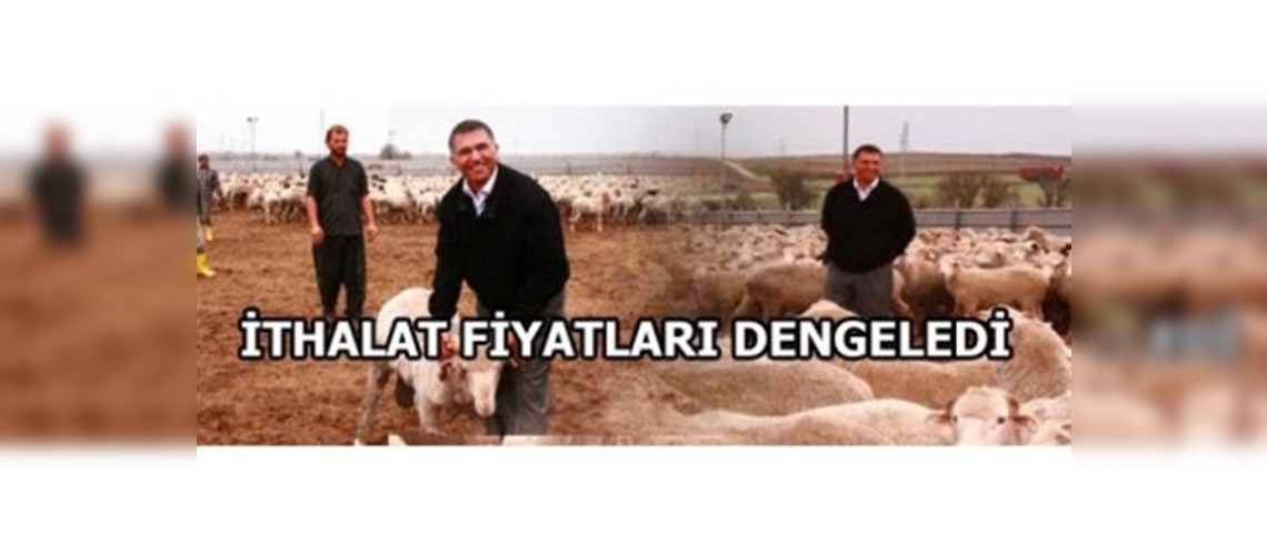 İthalat Fiyatları Dengeledi