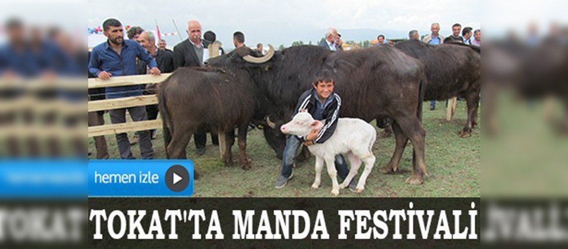 Tokat'ta Manda Festivali