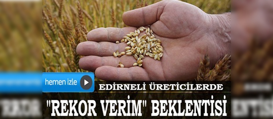 Edirne'de buğdayda rekor verim bekleniyor