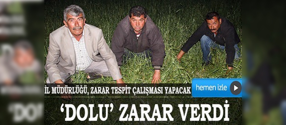 Yozgatta dolu 80 bin dekar ekili alana zarar verdi