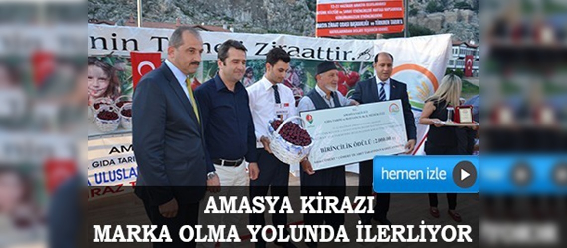 Amasya kirazı marka olma yolunda ilerliyor