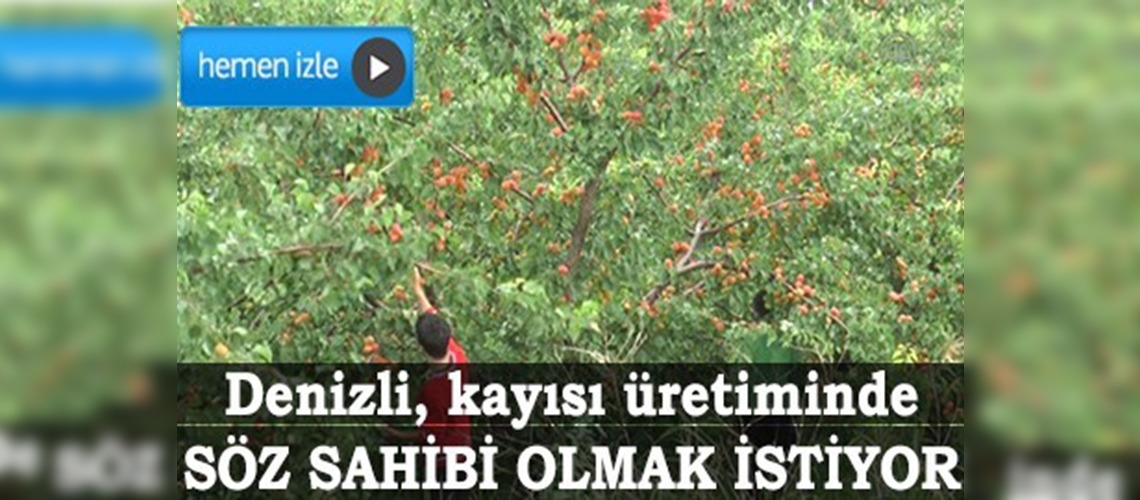 Denizli, kayısı üretiminde söz sahibi olmak istiyor