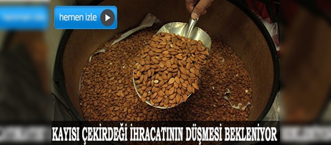 Kayısı gibi çekirdeği de 