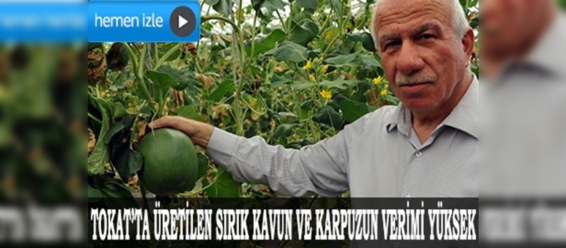 Sırık kavun ve karpuz yetiştirildi