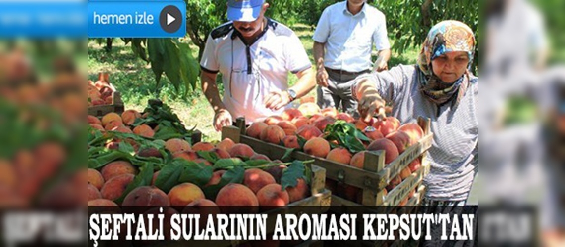 Şeftali sularının aroması Kepsut'tan