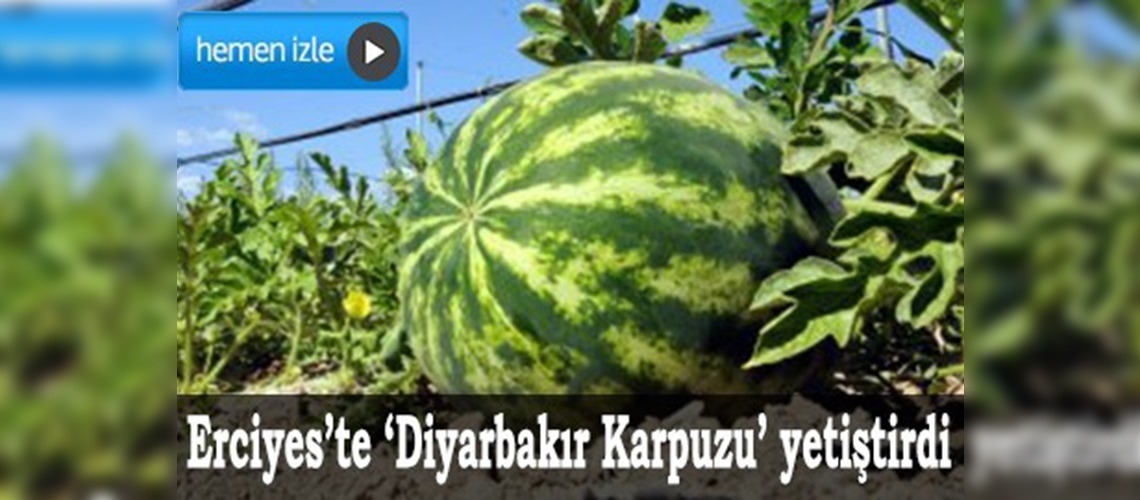 Diyarbakır karpuzu Erciyeste