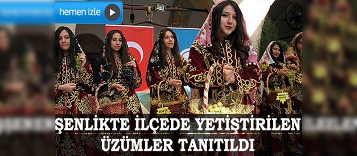  Safranbolu Geleneksel Bağ Bozum Şenliği 