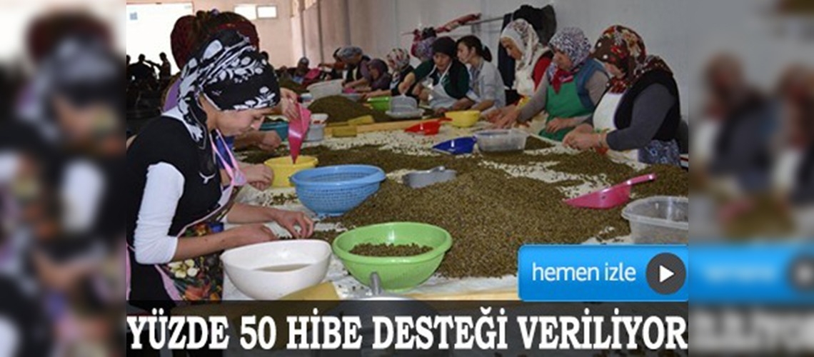 Yozgat'tan kapari ihracatı