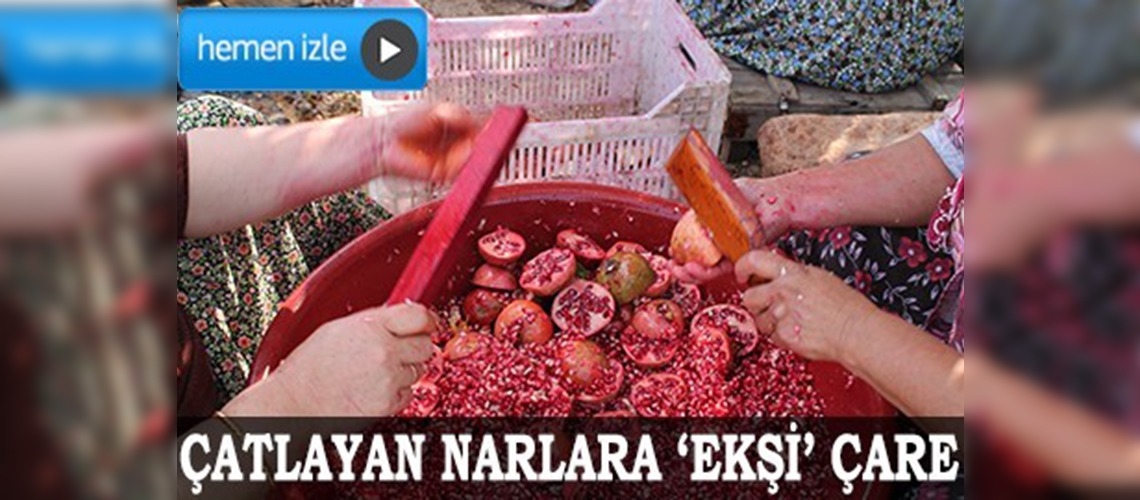 Dalında çatlayan narlar 