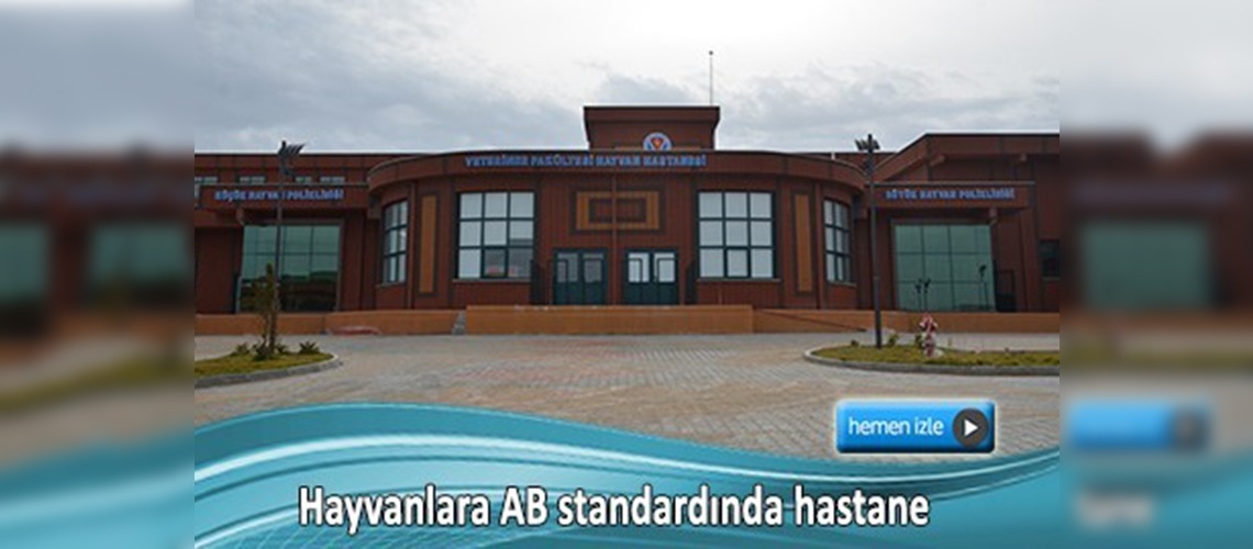 Burdur'a hayvan hastanesi