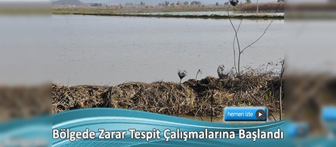 Büyük Menderes Nehri'ndeki su taşkını