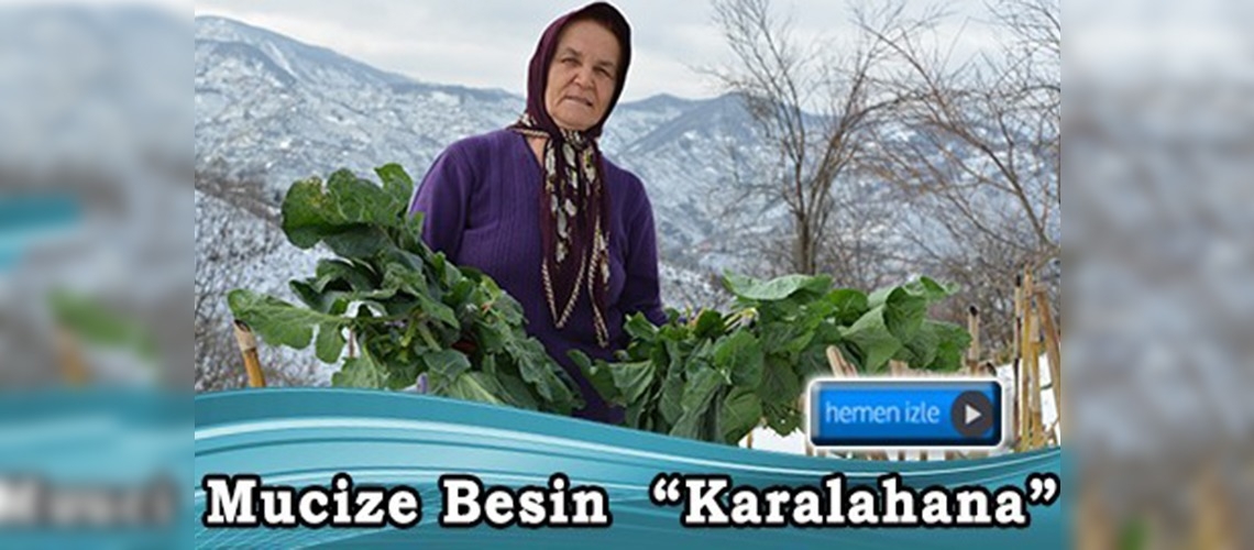 Karadeniz'in ''karalahana''sı şifa deposu