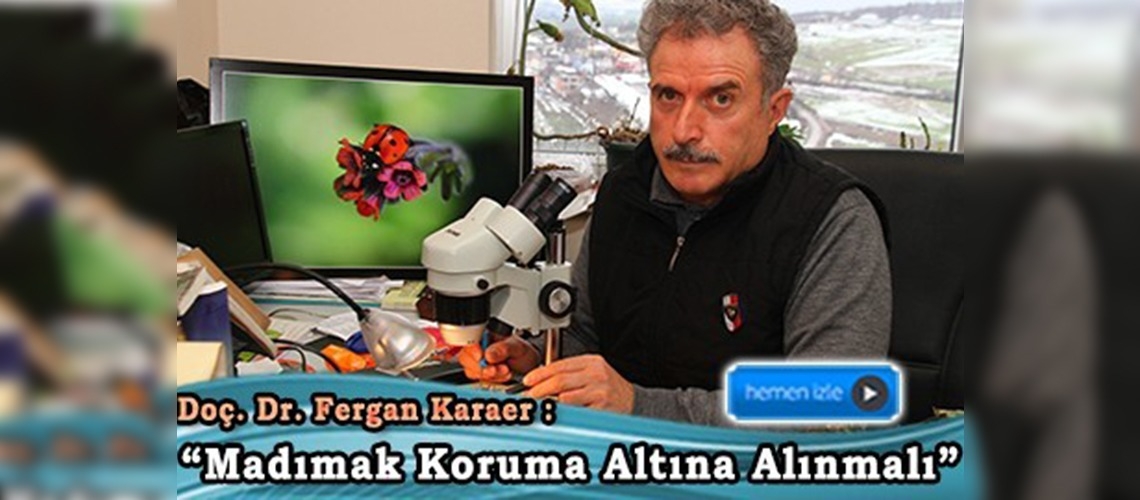 Samsun madımağı ''yok olma tehlikesiyle karşı karşıya''