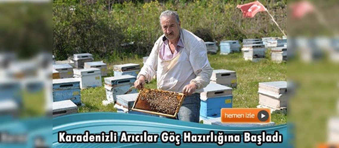 Karadenizli arıcılar göç hazırlığına başladı