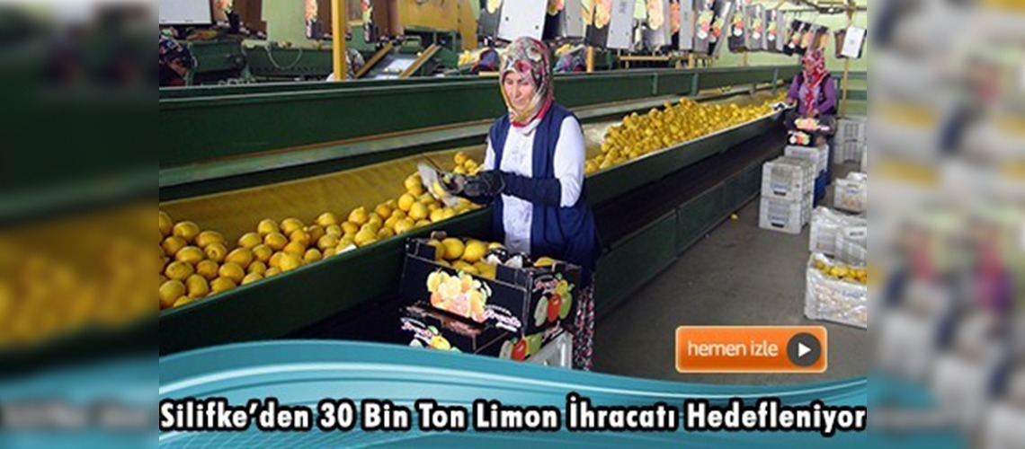 Irak'a limon ihracatı başladı