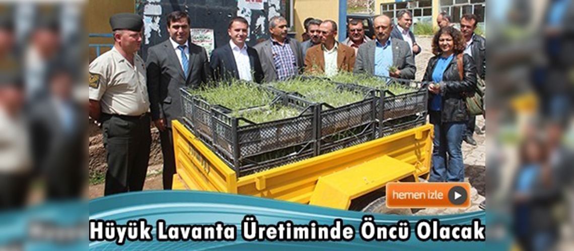 Konya'da lavanta bitkisi üretimi başlıyor