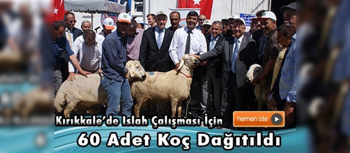 Damızlık Koç Dağıtım Töreni