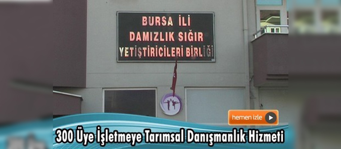 Bursa damızlık sığır yetiştiricileri birliği hız kesmiyor