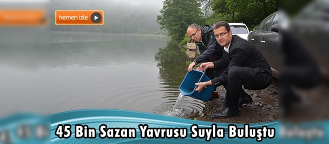 Ordu'da Göllere 45 Bin Sazan Yavrusu Bırakıldı