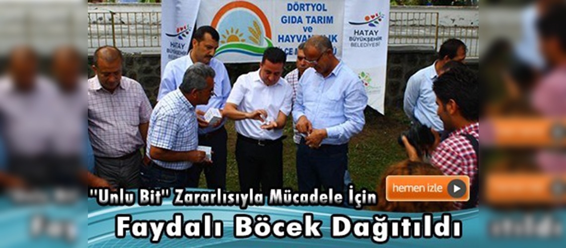 Narenciye üreticilerine faydalı böcek dağıtımı