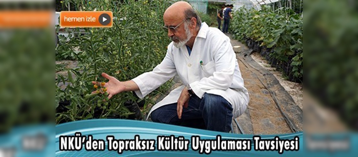 Seralarda ''topraksız kültür'' verimi artırıyor