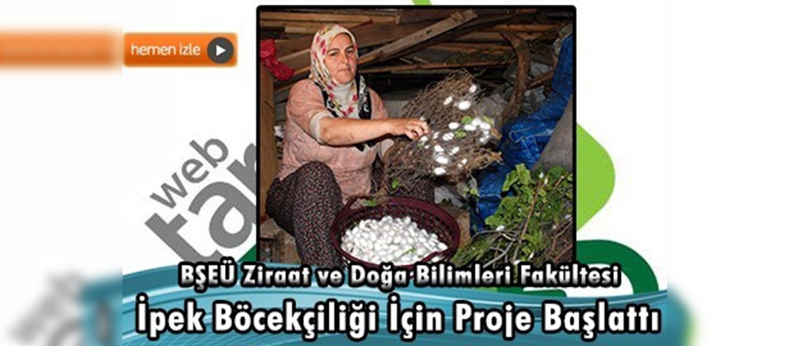 ''Bilecik bezi'' üretimi ipek böcekçiliği ile canlandırılacak 