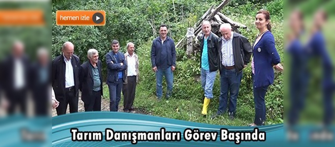 Ordu Ulubey Ziraat Odası 480 Çiftçiye Hizmet Veriyor