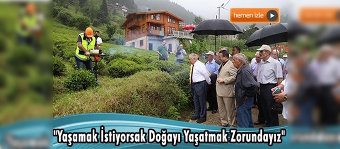 ''Organik Çay Tarımı Projesi''