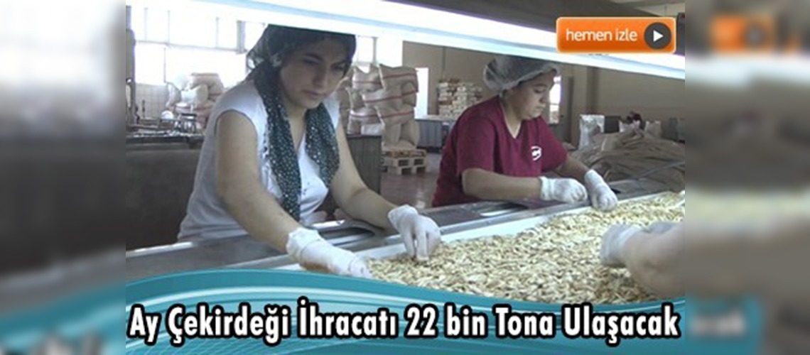 Üretilen 170 bin ton çekirdeğin çoğu ülkemizde tüketiliyor