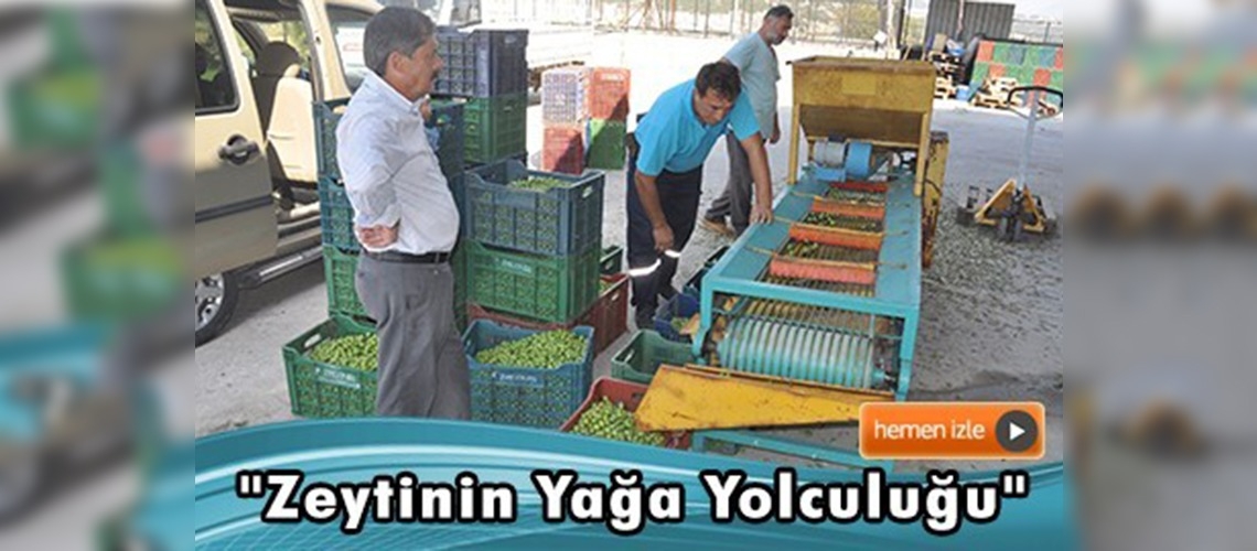 ''Zeytinin yağa yolculuğu'' başladı 